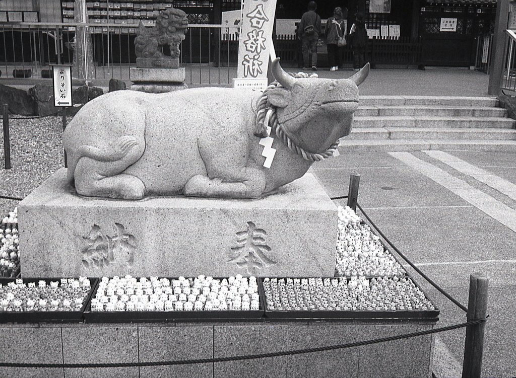 撫で牛　～さよならPEN…