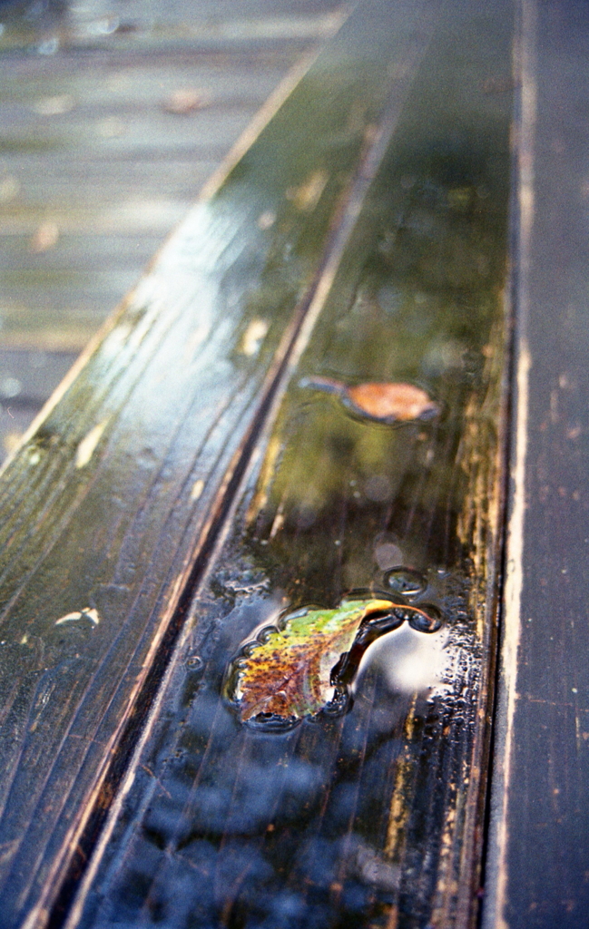残り雨のアングル