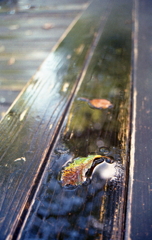 残り雨のアングル