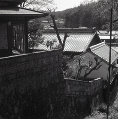 小径から瓦の並ぶ街風景