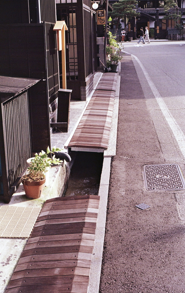 石もいいが木もいいなぁ…