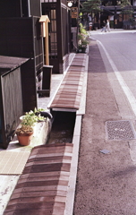 石もいいが木もいいなぁ…