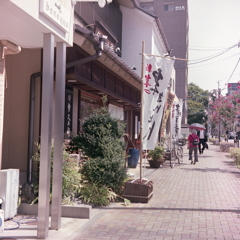 もう栗きんとんの季節なんだね。