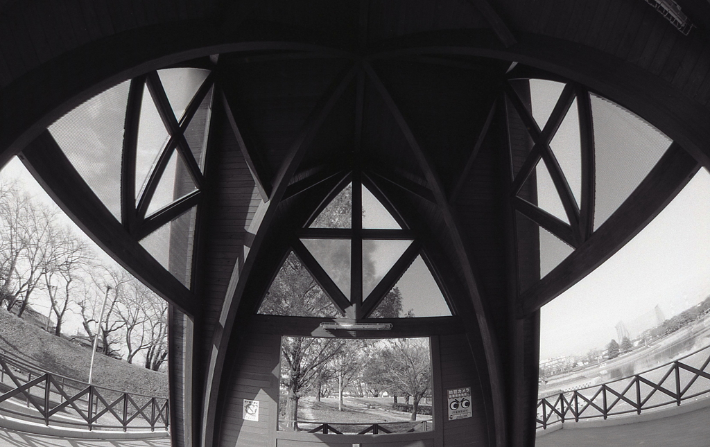 見上げるカナディアンハウス