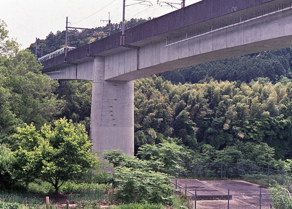 愛環を超えて…