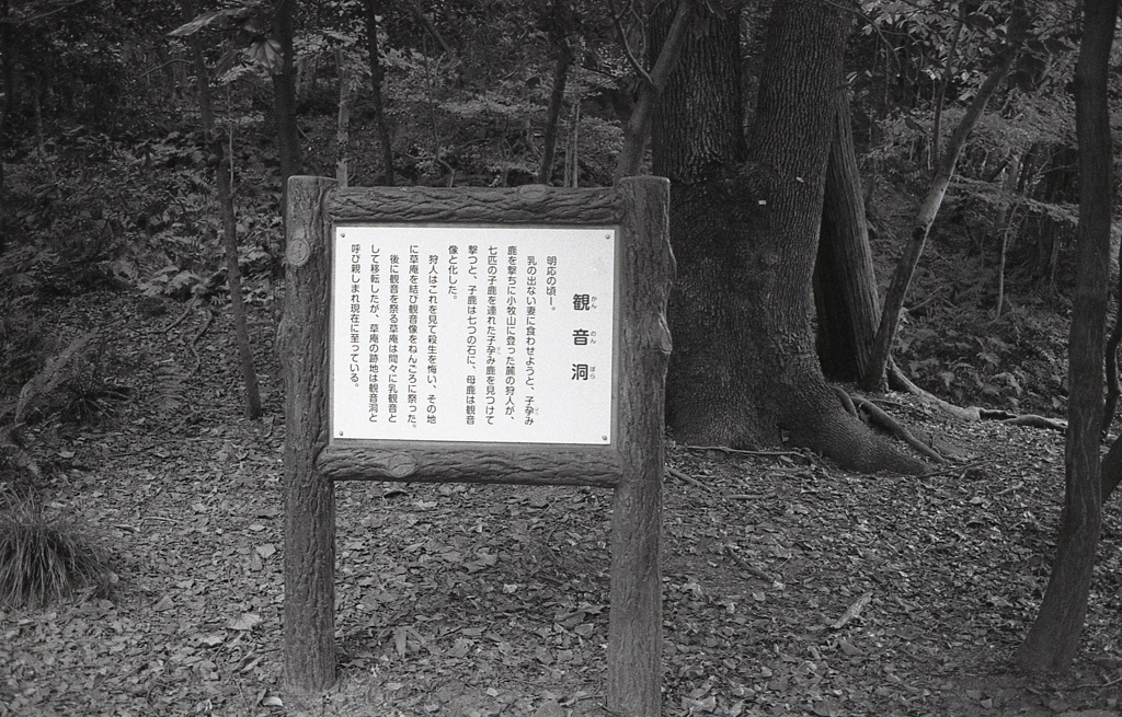 観音洞