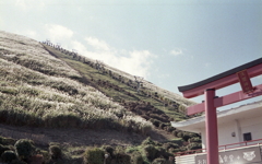 大室山って知っとるけ？