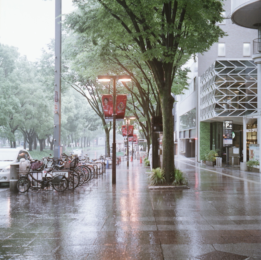 雨の栄を歩く