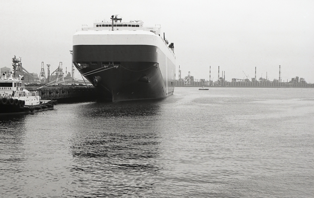 海を見ていた午後