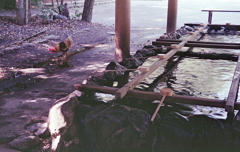 参拝にまずは手を清め