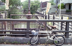 走り始めのワンショット！