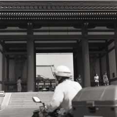 日泰寺の山…あ、ご苦労様です！（汗