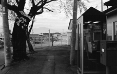 桜咲くうすだの駅前