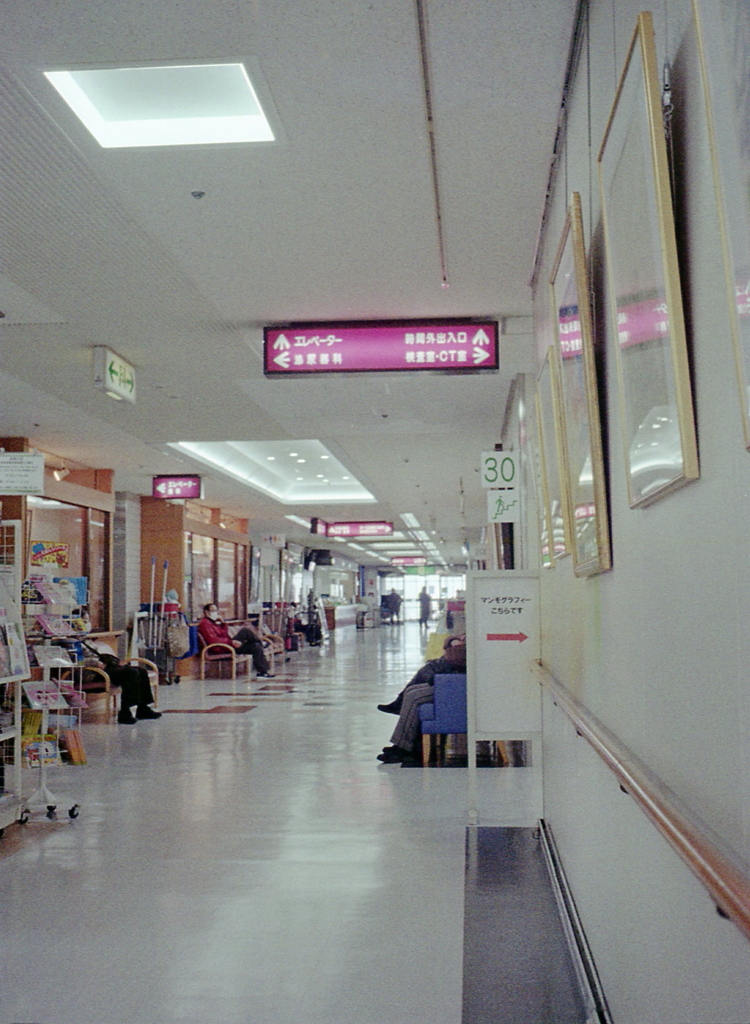 人間ドッグの日