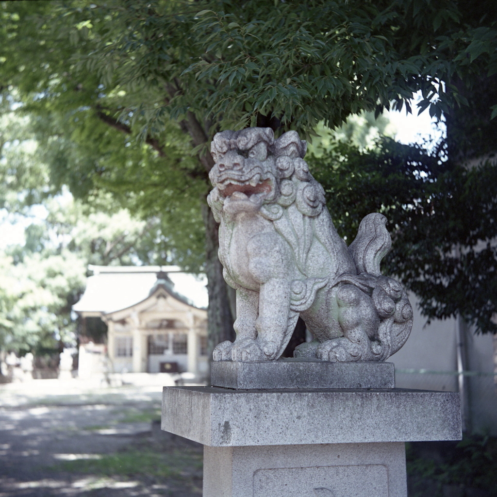 ただひたすらに走る…