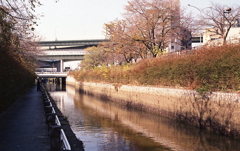 黒川・北清水橋の護岸風景