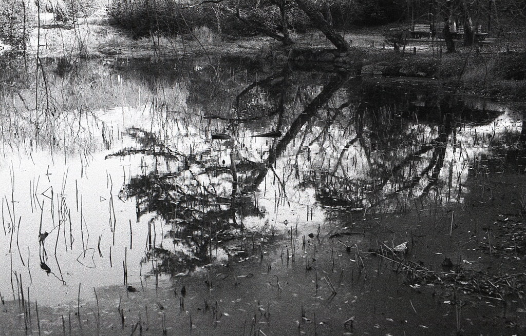 ＩＳＯ３２０でのFoma RETROPAN320