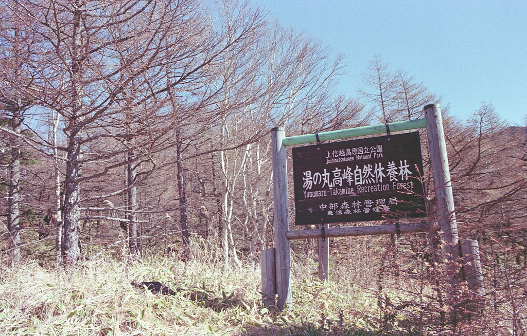 秋色に溶け込む看板だね。