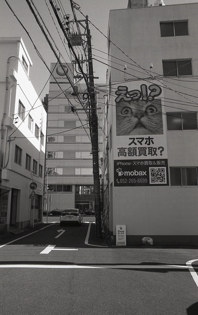 えっ！？と歩いていると猫顔に（笑