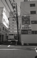 えっ！？と歩いていると猫顔に（笑