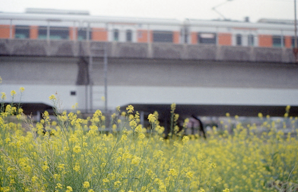 春の電車旅いいなぁ…