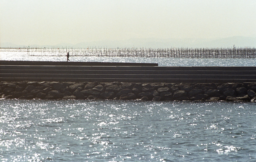 知多の海をひとり歩く