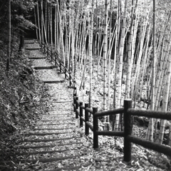 竹道のスロープ