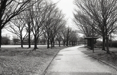 時間潰しに戸田川へ…