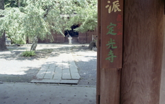 定光寺外門から