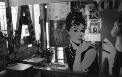 鏡のオードリー