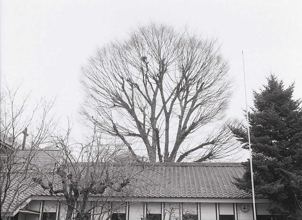 PEN EEはモノクロで撮れ！Ⅳ