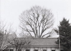 PEN EEはモノクロで撮れ！Ⅳ