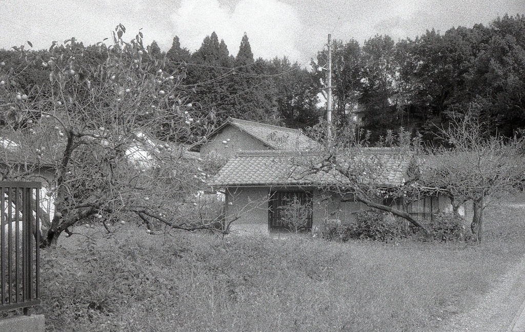 旧道（旧Ｒ⑲）の秋風景