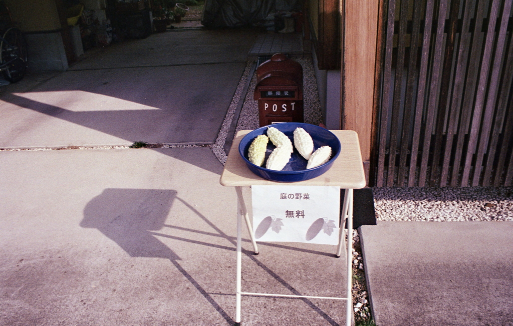 ご近所のゴーヤ