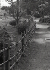 垣根伝って歩こうか