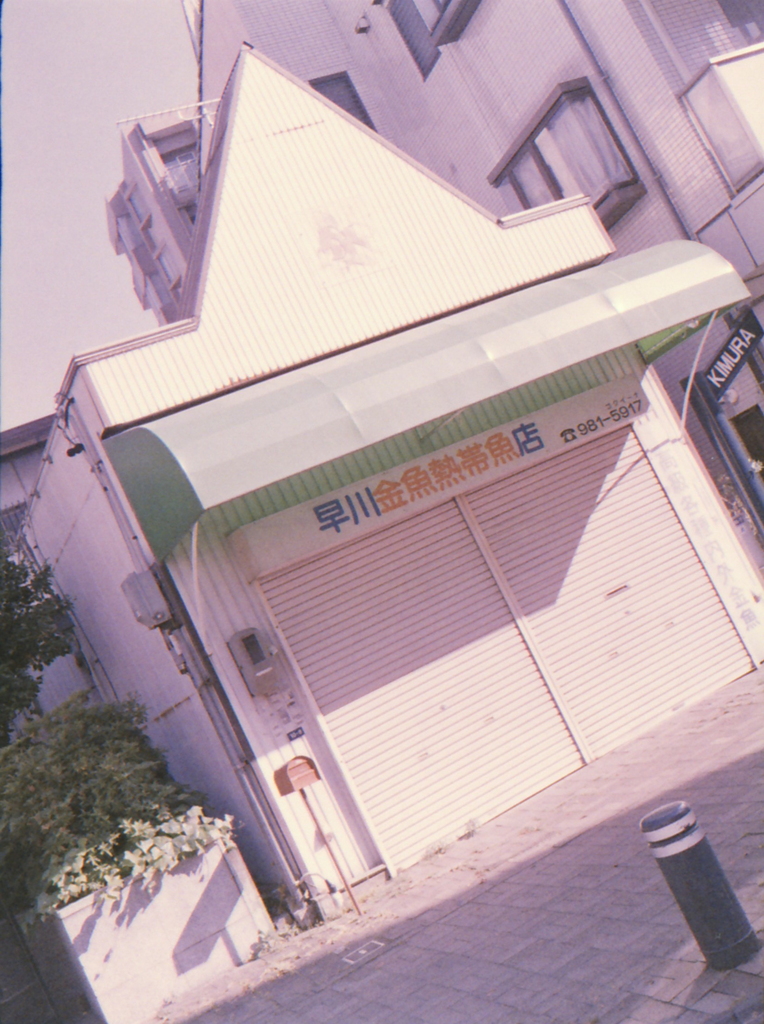 色褪せた記憶のように…