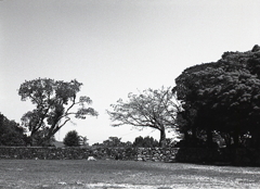 城跡の風景　～伊勢湾方面の西側