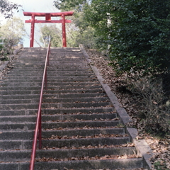 石段の鳥居