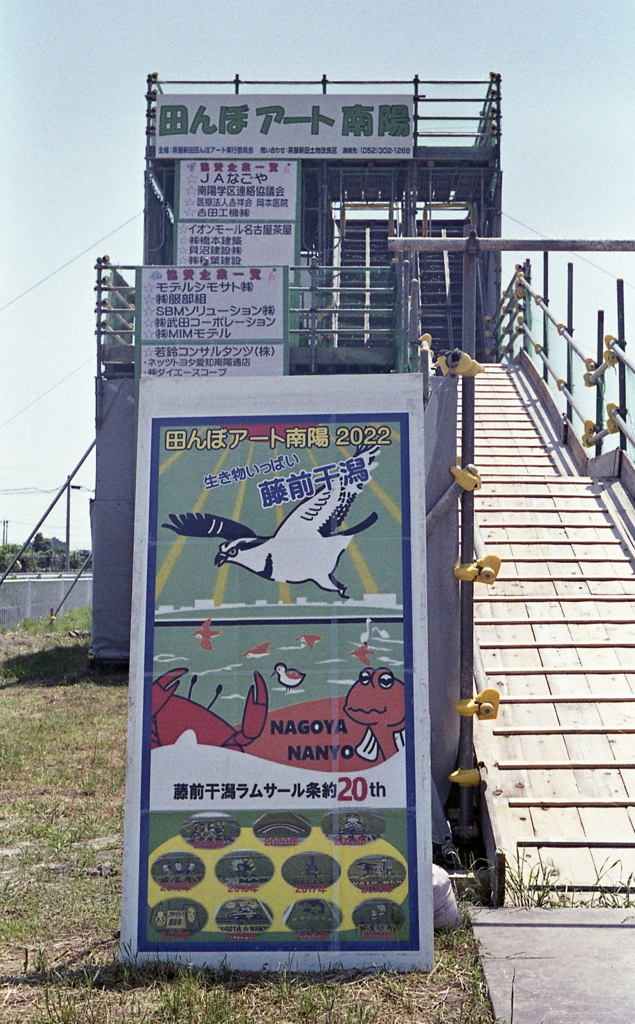 田んぼアート南陽2022