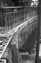 石垣と板塀の脇道