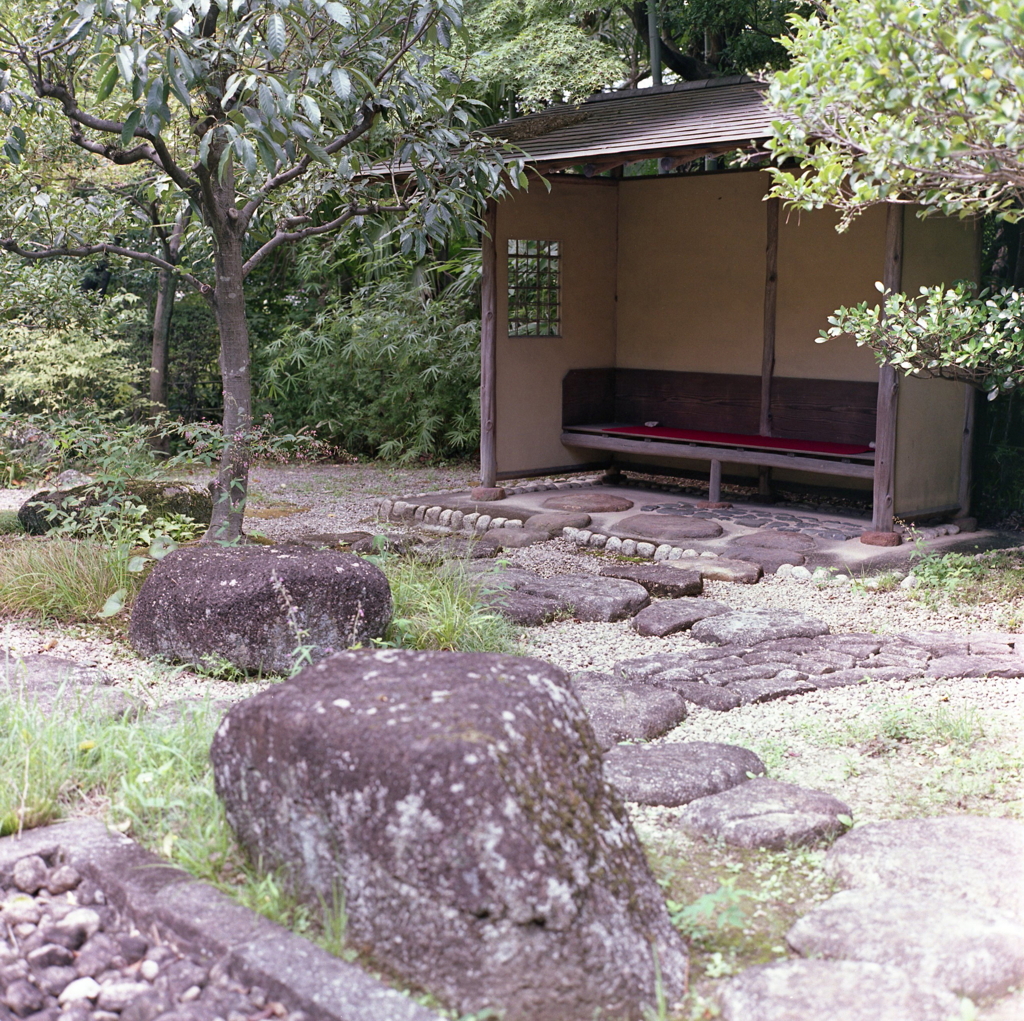 庭の東屋