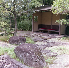 庭の東屋
