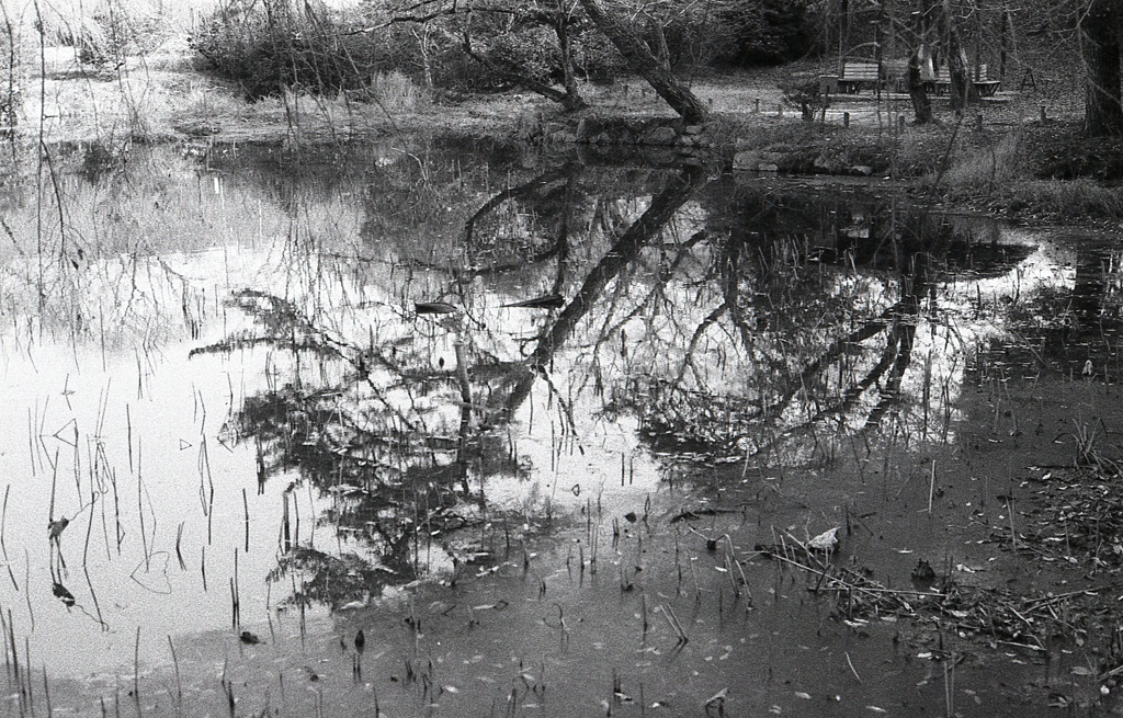 ＩＳＯ２００でのFoma RETROPAN320