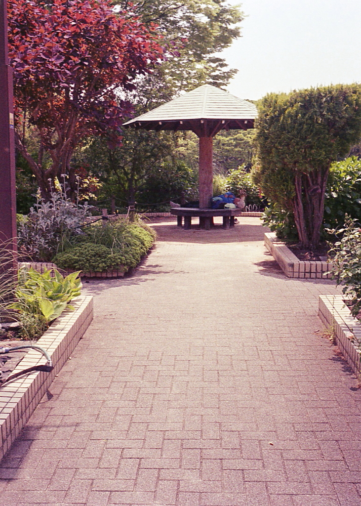 おっちゃんの昼寝