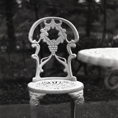 葡萄の椅子