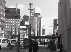 名古屋のビルって低いよね。（苦笑