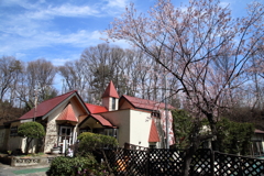 赤い屋根のレストラン