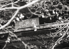 昨日は定光寺へ　～1月24日の写真日記