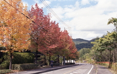 秋色に誘われて…四季の森