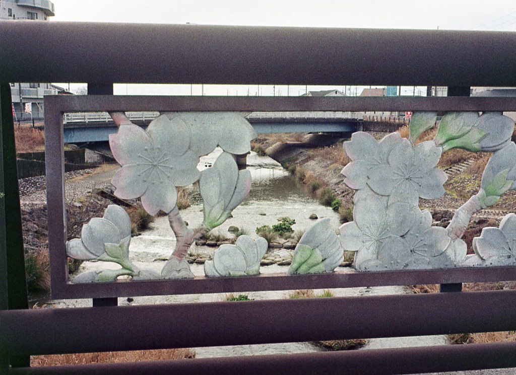 PEN EEで黙歩する。